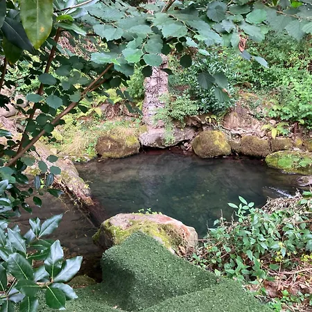 Vakantiehuis La Casa Del Rio *